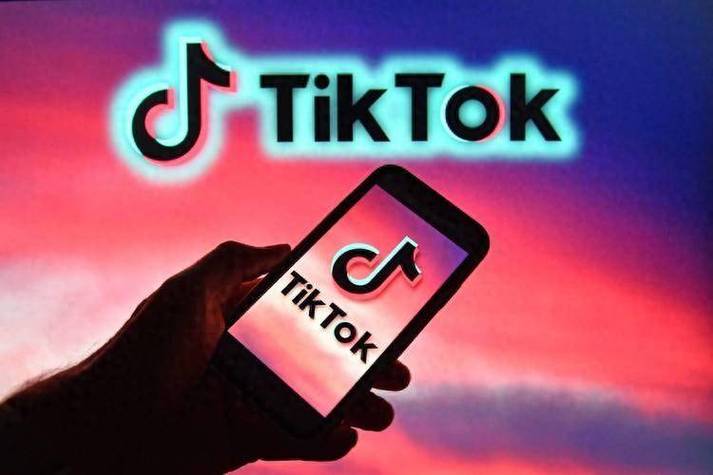 TikTok刷粉活粉,TikTok刷粉活粉：打造完美社交媒体形象的秘密武器!