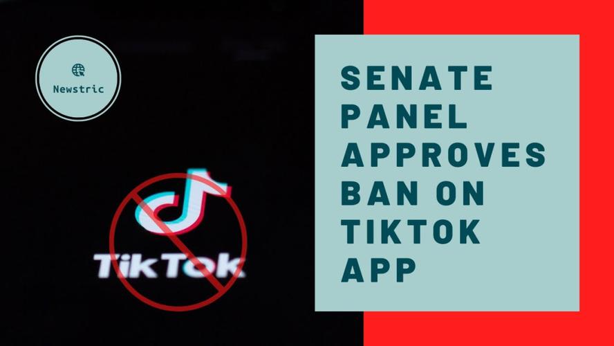 TikTok刷粉社区,标题：揭秘 TikTok 刷粉社区：黑产背后的流量操纵!