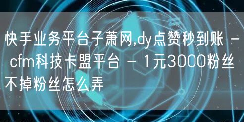 快手业务平台子萧网,dy点赞秒到账 - cfm科技卡盟平台 - 1元3000粉丝不掉粉丝怎么弄