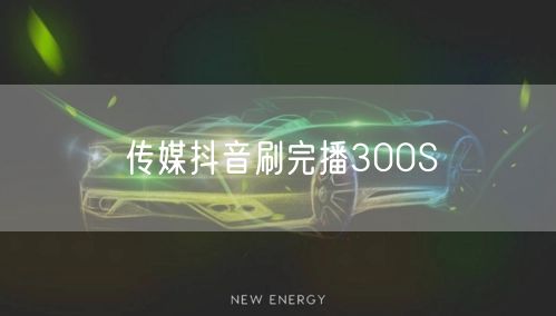 传媒抖音刷完播300S