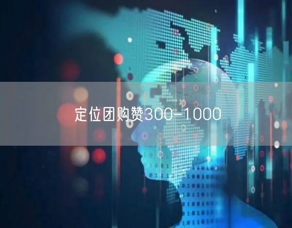 定位团购赞300-1000