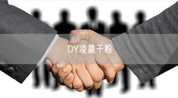 DY凌晨千粉