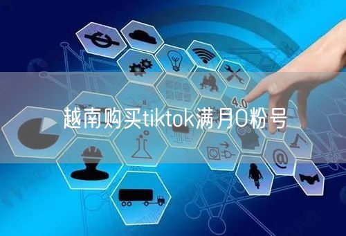 越南购买tiktok满月0粉号