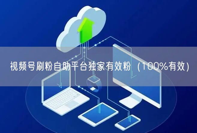 视频号刷粉自助平台独家有效粉（100%有效）