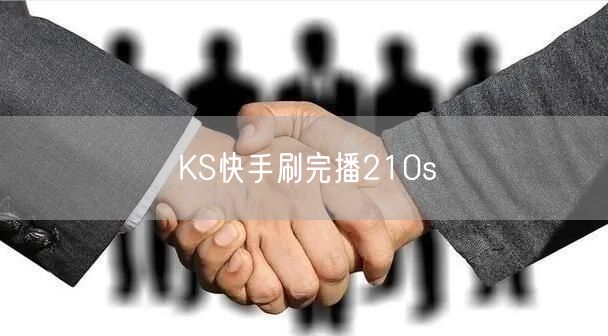 KS快手刷完播210s