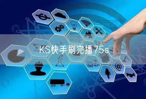 KS快手刷完播75s