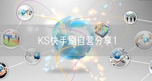 KS快手刷自营分享1