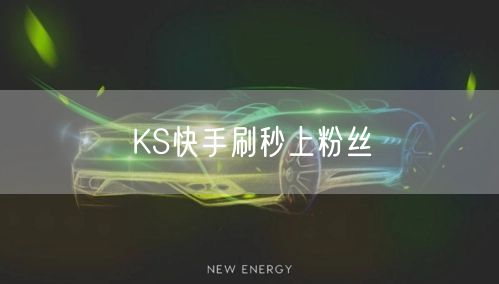 KS快手刷秒上粉丝