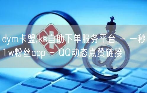 dym卡盟,ks自助下单服务平台 - 一秒1w粉丝app - QQ动态点赞链接