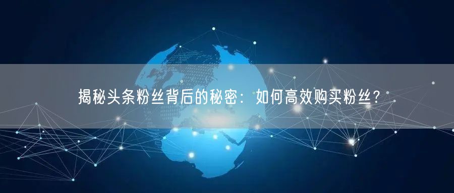 揭秘头条粉丝背后的秘密：如何高效购买粉丝？