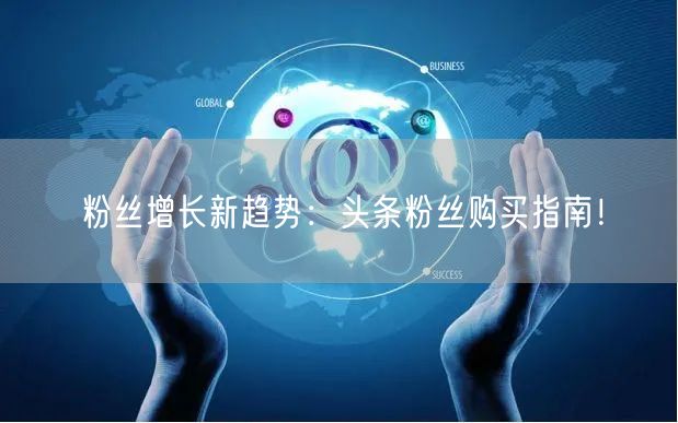 粉丝增长新趋势：头条粉丝购买指南！