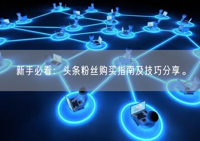 新手必看：头条粉丝购买指南及技巧分享。
