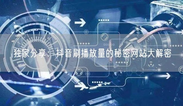 独家分享：抖音刷播放量的秘密网站大解密