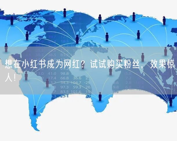 想在小红书成为网红？试试购买粉丝，效果惊人！