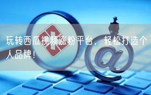 玩转西瓜视频涨粉平台，轻松打造个人品牌！