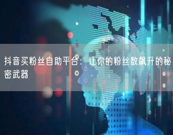 抖音买粉丝自助平台：让你的粉丝数飙升的秘密武器