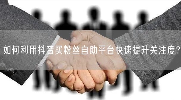 如何利用抖音买粉丝自助平台快速提升关注度？