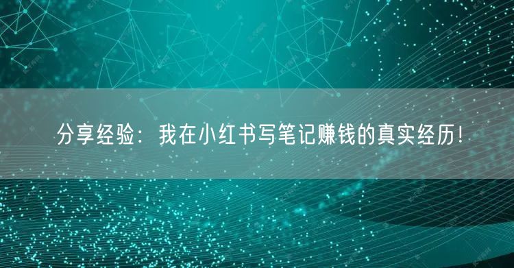 分享经验：我在小红书写笔记赚钱的真实经历！
